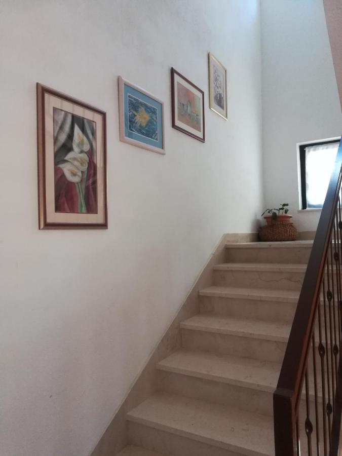 Apartments Tamara Lokva Rogoznica Εξωτερικό φωτογραφία